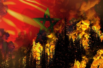 Forest fire natural disaster concept - flaming fire in the trees on Morocco flag background - 3D illustration of nature