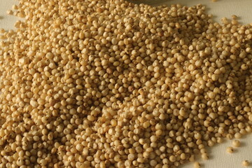 Sorghum and also known as great millet, durra, jowari, jowar, milo is a grass grain