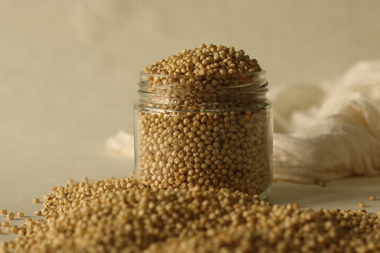 Sorghum and also known as great millet, durra, jowari, jowar, milo is a grass grain