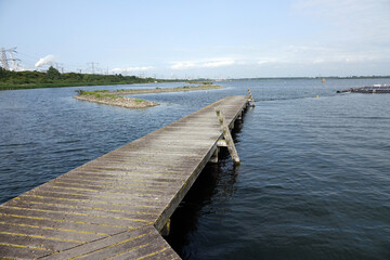 Obraz premium Netherlands. Landscape of the dunes in Voorne-Putten