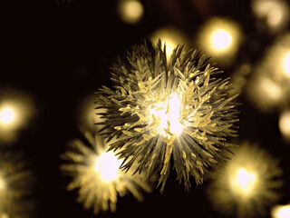 Garlands in the night