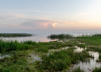 summer landscape on the shore of the lake at dawn, colors in the sky before sunrise, Lake Burtnieki, Latvia - obrazy, fototapety, plakaty