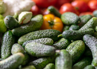 color photo with autumn vegetables on the table, different colors, shapes and types of vegetables prepared for home canning, autumn harvest time