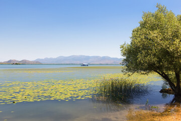 Boating on the beautiful Skadar Lake. Montenegro.