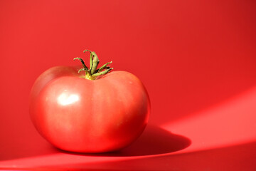 fresh red tomato close-up on a red background in a beam of bright light. The concept of delicious vegetables.