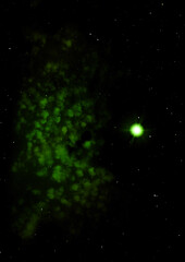 Small part of an infinite star field. 3D rendering