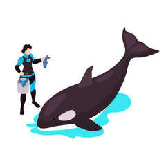 Dolphinarium Isometric Icon