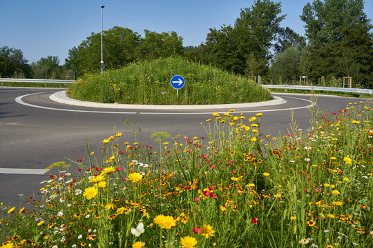 Wildflowers at the traffic circle. Round traffic island with blue road sign. Intersection on german road. Nobody. Germany.