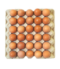 fresh eggs in tray paper with top view.