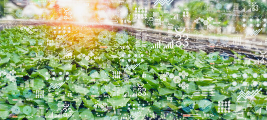 concept agricultural product control technology,future trading world market,track productivity,satellite for Agriculture and digital visual realrity screen,with ai artificial intelligence to business