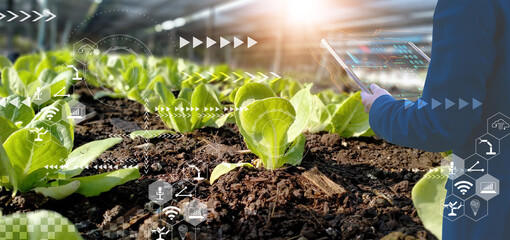 Businessman using smart tablet,organic vegetable house production control,concept agricultural...