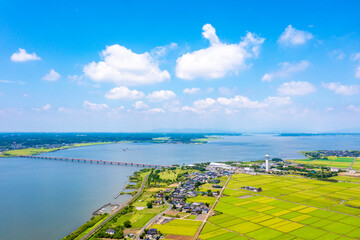 夏の霞ヶ浦と霞ヶ浦大橋（茨城県）
