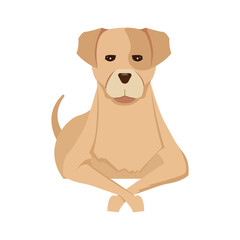 Sad Dog Illustration