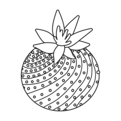 Cactus of flower vector icon.Outline vector icon isolated on white background cactus of flower.