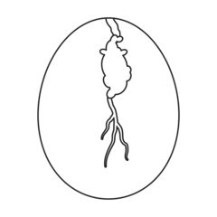 Crack egg vector icon. Outline vector icon isolated on white background crack egg.