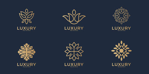 Luxury line art beauty logo collection Premium Vector  