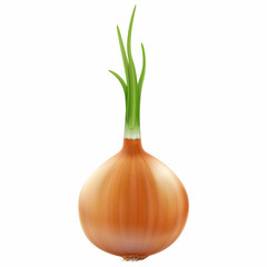 Onion, isolated on white background. Realistic 3D Vector illustration