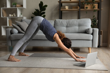 Side view woman practicing yoga online, doing Downward facing dog exercise, stretching, using...