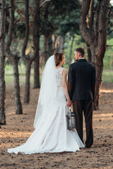 walk of the bride and groom through the autumn forest