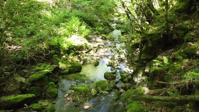 Torrente Scarzola, Monte S. Maria Tiberina, PG