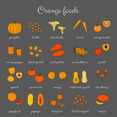 Hand drawn orange foods set.