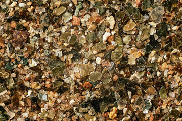 Sea sand (Malindi beach, Kenya) with golden like particles few ocean shell remains visible. 4x magnification microscope photo, image width = 9mm