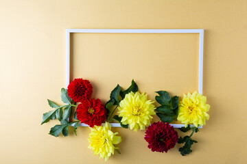 Frame with blossom dahlia flowers on golden surface