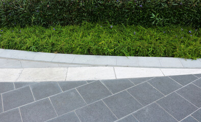 Obraz premium Pathway in the garden.