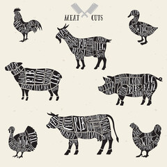 Meat cuts set. Diagrams for butcher shop. Scheme of chicken, beef, pork etc. Animal silhouettes. Guide for cutting.