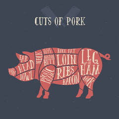 Meat cuts - pork. Diagrams for butcher shop. Scheme of pork. Animal silhouette pork. Guide for cutting.