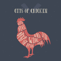Meat cuts - chicken. Diagrams for butcher shop. Scheme of chicken. Animal silhouette chicken. Guide for cutting.