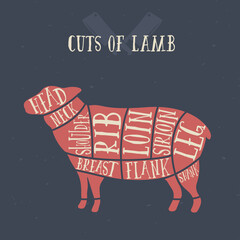 Meat cuts - lamb. Diagrams for butcher shop. Scheme of lamb. Animal silhouette lamb. Guide for cutting.