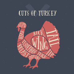 Meat cuts - turkey. Diagrams for butcher shop. Scheme of turkey. Animal silhouette turkey. Guide for cutting.