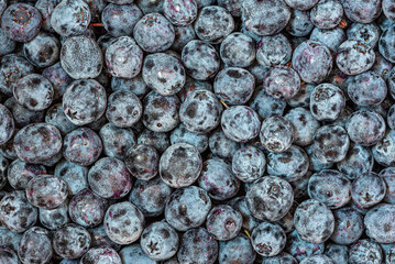
background of fresh blueberries