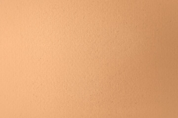 Eggshell Eco friendly blank paint pale brown or orange color on cardboard box recycled paper for environment background or backdrop.