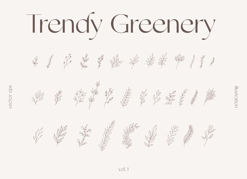 Hand draw one line floral elements greenery vector