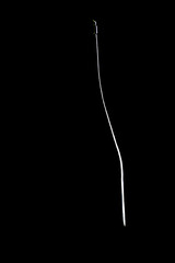 shape of wine bottle on dark background