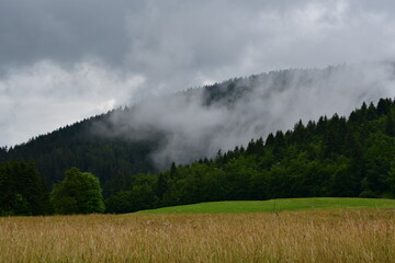 morning in the mountains