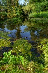 Paysage campagne 1005