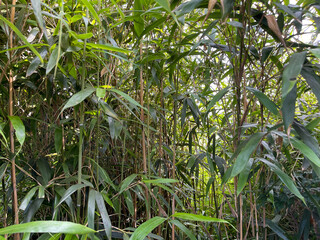 It is a photo related to a beautiful natural landscape.