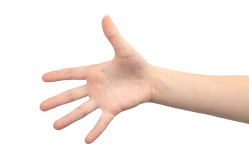 Hand gesture palm open with five fingers, isolated on a white background, young female hand close-up