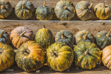 Pumpkin in traditional market