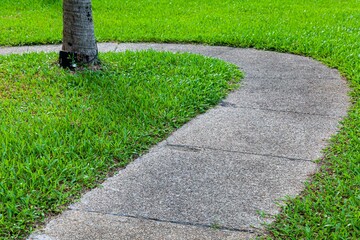 Long concrete walkway in the summer green garden