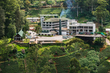 Labookellie, Sri Lanka. September 5, 2019: Damro Labookellie tea factory close to Nuwara Eliya.