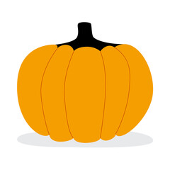 Orange pumpkin for halloween. Ripe vegetable. For the harvest festival. Illustration in flat style on white background