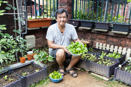 Person Showing Organic Vegetables Harvested From Home Garden. Grown During Covid-19 Lockdown To Pass Time