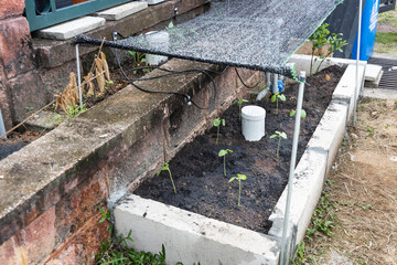 Worm tower for vermicompost installed on raised garden bed with new okra plants planted.