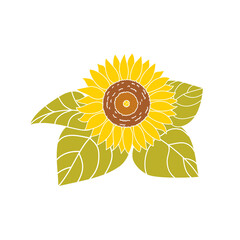 Sunflower and leaves on a white background. Ornament of autumn harvest. Vector pattern in flat style. 