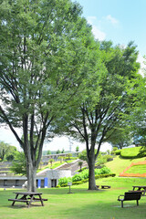 津久井湖城山公園 水の苑地　神奈川県相模原市の風景
