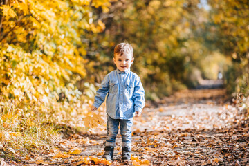 Happy boy playing with autumn yellow leaves outdoors in the Park